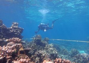 Student Divers in Saipan