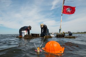 Students excavate the Pappy's Lane shipwreck.