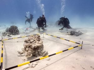 Joint Recovery Team excavates in Saipan